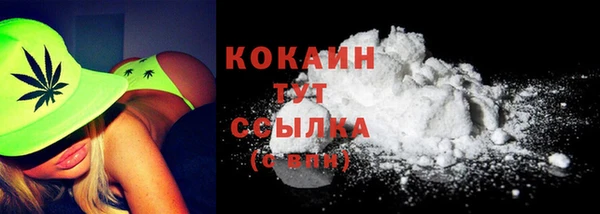 круглые Абаза
