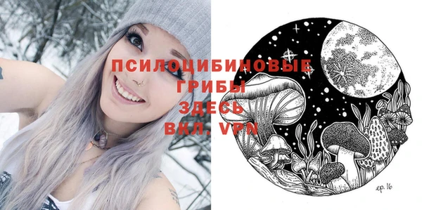 тгк Абдулино