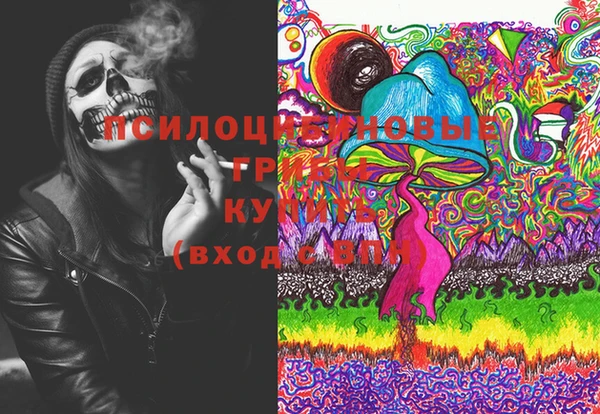 круглые Абаза